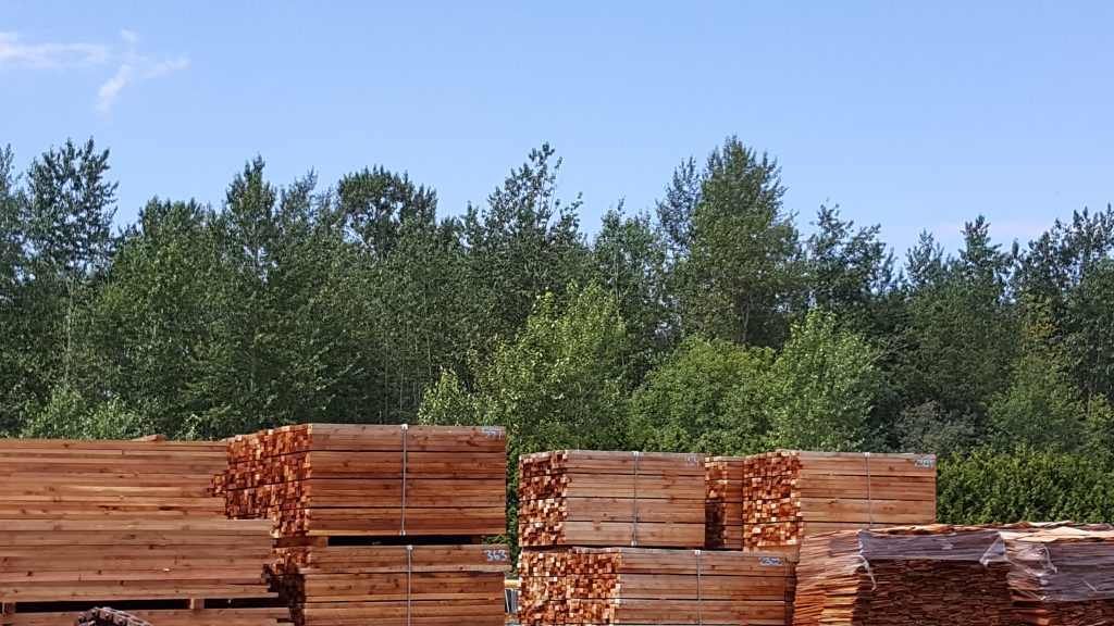 Cedar - Western Red - Halswell Timber
