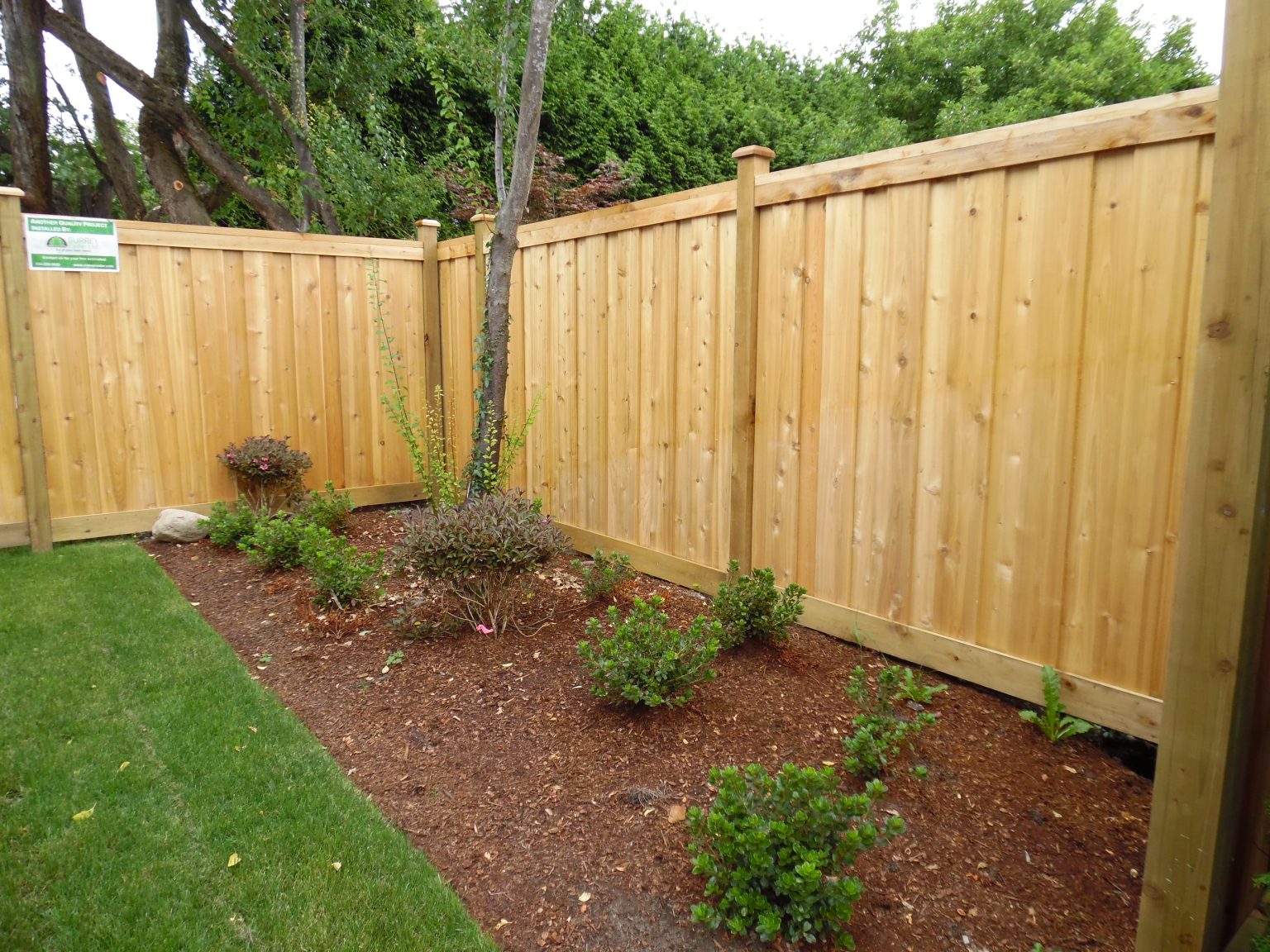 Cedar Project Gallery - Surrey Cedar - Lumber, Panels, Siding, Shingles 